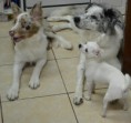 /album/fotogaleria/dsc-5021-jpg/