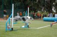 /album/fotogaleria/a10024-10151187765488822-367463399-n-jpg/