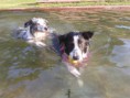 /album/fotogaleria/a73788-4931623402290-867656618-n-jpg/