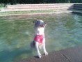 /album/fotogaleria/a250764-4931620362214-1311685829-n-jpg/