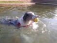 /album/fotogaleria/a552899-4931622642271-1939662088-n-jpg/