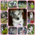 /album/fotogaleria/a579672-10200464432991648-1484376488-n-jpg/