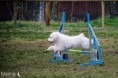 /album/fotogaleria/a296147-557143897662234-1118702444-n-jpg/