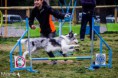 /album/fotogaleria/a971456-557144764328814-1679168863-n-jpg/