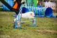 /album/fotogaleria/a1011145-557144940995463-2037507442-n-jpg/