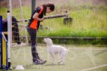 /album/fotogaleria/a1236417-588178027892154-978703279-n-jpg/
